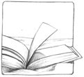 Libri e autori in spiaggia